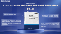 2025版集拆箱租赁行业成长示状及市场全景评估演